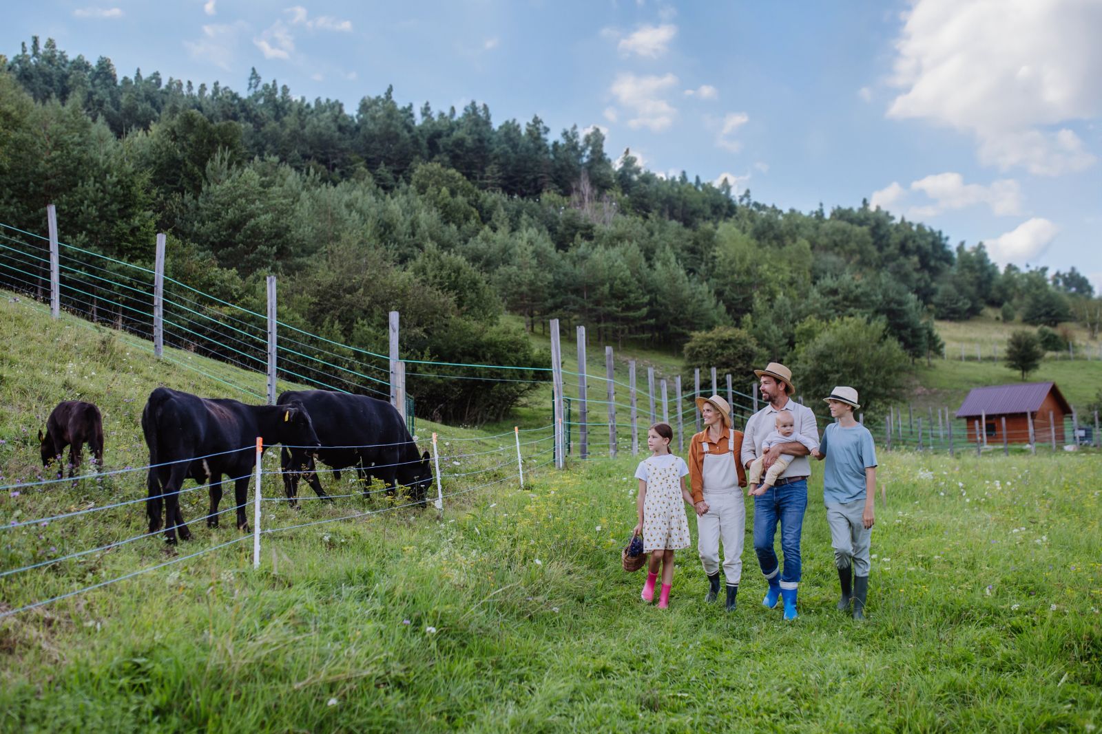 Family outside of cow pen by Halfpoint via iStock